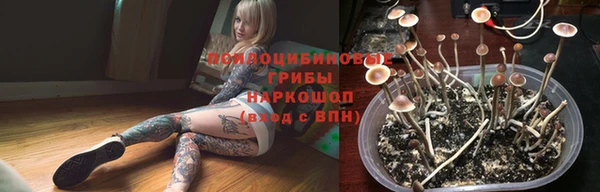марки lsd Осинники