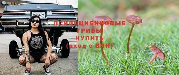 спайс Осташков