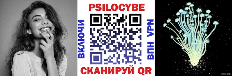 Псилоцибиновые грибы Psilocybe  Купить где  Старица 